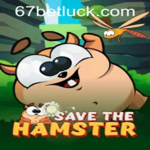 Save the Hamster: An Engaging Journey with 67bet PH Login